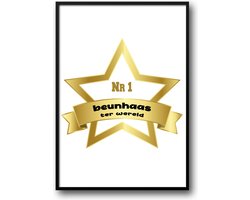 Nr 1 beunhaas ter wereld fotolijst met glas 50 x70 cm - Prachtige kwaliteit - beunhaas - werk - nr1 - Harde lijst - Glazen plaat - inclusief ophangsysteem - Grappige Poster - Foto op hoge kwaliteit uitgeprint