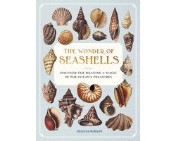 Ocean Wonders-The Wonder of Seashells