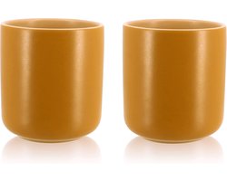 Ogo voordeelset aarden theepot met houten deksel en rvs filter 900 ml + 2 aarden koppen 270 ml Geel