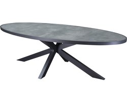 Ohio dining tuintafel ovaal 241x116xH74cm aluminium antraciet