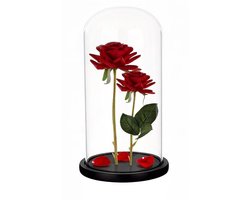 Omgoods - Handgemaakte Glazen Dôme met Zwarte Sokkel voor Decoratie