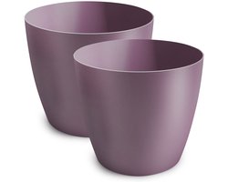 Omgoods - Set van 2 Paarse Plantenpotten - Decoratieve Plastic Bloempotten