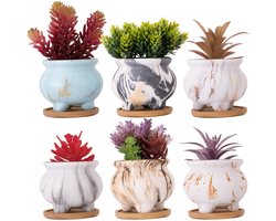 Omgoods - Set van 6 Marmeren Succulent Potten met Drainageschotel