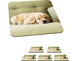 Onderzetters voor glazen - Een slapende Golden Retriever puppy op de bank - 10x10 cm - Glasonderzetters - 6 stuks