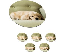 Onderzetters voor glazen - Rond - Een slapende Golden Retriever puppy op de bank - 10x10 cm - Glasonderzetters - 6 stuks