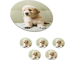 Onderzetters voor glazen - Rond - Golden Retriever puppy liggend op de bank - 10x10 cm - Glasonderzetters - 6 stuks