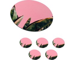Onderzetters voor glazen - Rond - Planten - Bladeren - Vrouwentong - Roze - Tropisch - 10x10 cm - Glasonderzetters - 6 stuks