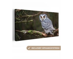 OneMillionCanvasses - Canvas schilderij - Uil - Vogel - Takken - Mos - Canvas doek - Schilderijen woonkamer - 100x50 cm - Wanddecoratie