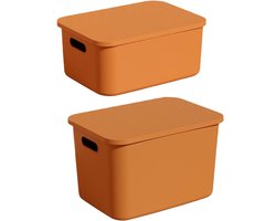 Opberg Bakken - Opbergcontainers Set - Thuis Ordenen - Met Deksel Handvat - 36x25x25cm