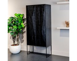 Opbergkast Onyx | Zwart Mangohout | 2 deuren