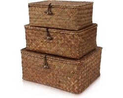 Opbergmanden met deksel - 3 stuks - Rotan en zeegras - Multifunctioneel - Voor speelgoed en cosmetica - Badkamerorganisator