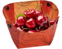 Opvouwbaar Bord - Reis Eetgerei - Outdoor Activiteiten - Compact Opvouwbaar - 43 cm - Blauw