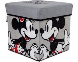 Opvouwbare Kruk - Zitje Opberger - Kinderkamer Organiseren - Snel Opvouwbaar - 30x30x30 cm - Multicolor