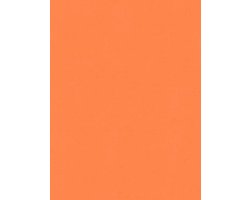 ORANJE UNI BEHANG - AS Creation X-Ray