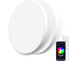 Oraymin 2x RGB LED Plafondlamp - Afstandsbediening - 24W 2400LM - Ø30cm
