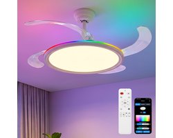 Oraymin Plafondventilator met Lamp 50 cm – Uitschuifbare Transparante Bladen - CCT 3000K-6000K - RGB en 6 Snelheden