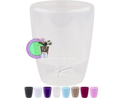 Orchid Pot with Wick System and Water Level Indicator - 12 cm, 1.3 litres, Transparent