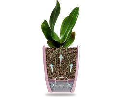 Orchideeënpotten set van 6 - Zelfbewaterende pot met waterlontsysteem en waterpeilindicator - Diameter 15 cm - Wit - 2 liter