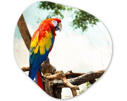 Organische wanddecoratie 40x40 cm - Organisch schilderij Papegaai - Vogel - Regenboog - Tropical - Muurdecoratie woonkamer - Kamer decoratie - Schilderijen - Muurcirkel aesthetic