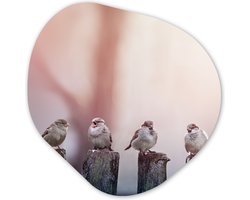Organische wanddecoratie 60x60 cm - Organisch schilderij Vogels - Mussen - Paaltjes - Hout - Muurdecoratie woonkamer - Kamer decoratie - Schilderijen - Muurcirkel aesthetic