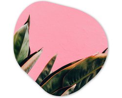 Organische Wanddecoratie - Kunststof Muurdecoratie- Organisch Schilderij - Planten - Bladeren - Vrouwentong - Roze - Tropisch- 90x90 cm - Organische spiegel vorm op kunststof