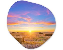 Organische Wanddecoratie - Kunststof Muurdecoratie- Organisch Schilderij - Stro - Zon - Lucht - Landschap- 60x60 cm - Organische spiegel vorm op kunststof