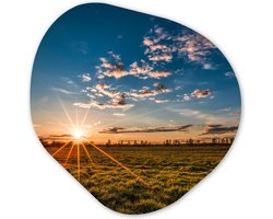 Organische Wanddecoratie - Kunststof Muurdecoratie- Organisch Schilderij - Zonsondergang - Natuur - Wolken - Gras- 60x60 cm - Organische spiegel vorm op kunststof