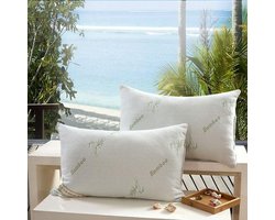 Originele Bamboe Kussens - 4 stuks