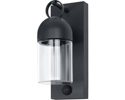 OSRAM Außenwandleuchte, Dark Grey, E27, IP65, Glas, Aluminium, PIR‑Bewegungsmelder, Tageslichtsensor, 25. 000 h Lebensdauer, 0-40 W