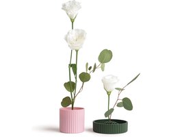 Ototo Blossom - vaas