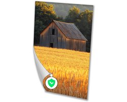 Oude houten schuur in graanveld - Schuur poster - Muurdecoratie architectuur - Realisme kunststroming - Poster woonkamer - Kunstwerk - poster 50x70 cm