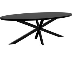 Ovale Eettafel - Eettafel Blad - Gezellig Eten - Stevig Metaal - 210cm Lang - Zwart