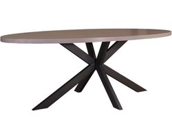Ovale eettafel - Grijze eettafel - Voor gezellig tafelen - Blad met houtlook - 210 cm - Grijs