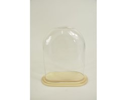 Ovale Glazen Stolp L – 24x12.5x30 cm – Inclusief Blank Houten Plateau – Luxe Display