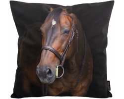 Paard / Horse Kussenhoes | Katoen/Polyester | 45 x 45 cm