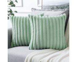 Pack of 2 Plush Velvet Cushion Covers, Soft Faux Fur Cushion Covers Decorative Cushion Covers for Sofa Bedroom Home Car Decoration 24 x 24 Inch 60 x 60 cm Light Green