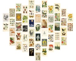 Pack of 50 Retro Wall Collage Set - 4 x 6 Inches Beige Wall Collage - Vintage Plant Wall Art Pictures - Poster Aesthetic - Geschikt voor Woonkamer - Kantoor Decoratie