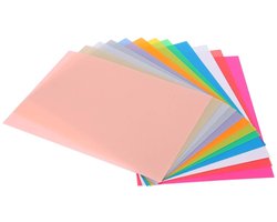 Pack van 12 Krimpfolie voor Sleutelhangers, Transparante DIY Sleutelhanger Set, Handgemaakte Accessoires, Creatief en Kleurvol, 14.5 x 20 cm