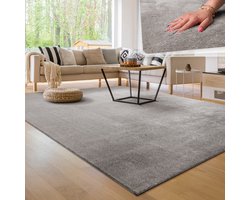 Paco Home Moderne woonkamer tapijt kortpolig wasbaar zacht uni effect bont antislip 120x170 cm