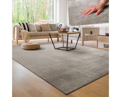 Paco Home Moderne woonkamer tapijt kortpolig wasbaar zacht uni effect bont antislip 300x400 cm