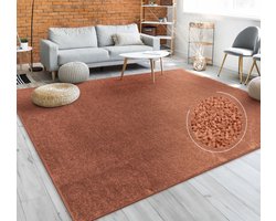 Paco Home Vloerkleed Woonkamer Effen Eenvoudig En Modern Laagpolig, Versch. Afmetingen Kleuren 120 cm Rund