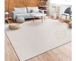 Paco Home Vloerkleed Woonkamer Effen Eenvoudig En Modern Laagpolig, Versch. Afmetingen Kleuren 140x200 cm