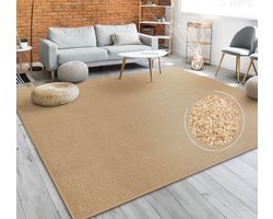 Paco Home Vloerkleed Woonkamer Effen Eenvoudig En Modern Laagpolig, Versch. Afmetingen Kleuren 200 cm Quadrat
