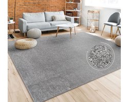 Paco Home Vloerkleed Woonkamer Effen Eenvoudig En Modern Laagpolig, Versch. Afmetingen Kleuren 200 cm Quadrat