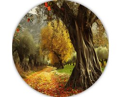 Pad wandschalen - Landschap wandpaneel - Wandpaneel Bomen - Woonkamer decoratie industrieel - Muurdecoratie rond - Decoratie muur muurcirkel forex 90x90 cm