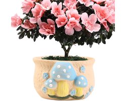 Paddenstoel Bloempot - Decoratieve Pot - Kleine Planten Kweken - Praktische Drainage - 11 cm Hoog - Multicolor