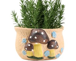 Paddenstoel Pot - Decoratieve Pot - Planten Kweken - Met Drainage - 11 cm - Multicolor