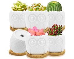 Pakket van 6 Mini Bloempotten met Onderschotel, Mini Uil Keramische Vetplant Potten, 8.5 cm Cactus Plant Potten voor Miniatuur Planten, Vetplanten, Mos Bonsai.