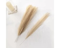 Pampasgras - Veren voor in een vaas - Beige - 5 Stuks - Huisdecoratie - Luxe uitstraling - Moderne woondecoratie - Kunstveren - D1.5