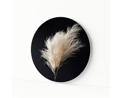Pampaspluim muurdecoratie – rond wandpaneel – wandobject rond – 40x40 cm